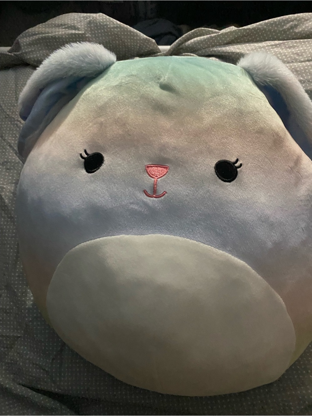 Squishmallow wu the bunny